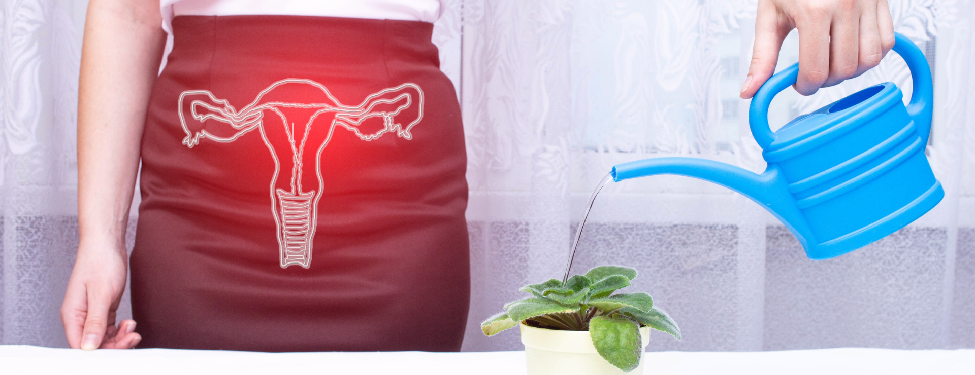 Functional Urology Surgies